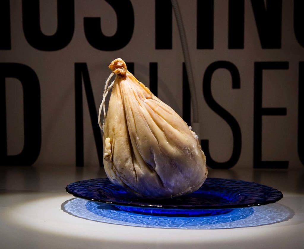 most-disgusting-food-ranked-by-disgusting-food-museum